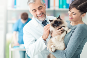 Picture of Veterinarian and owner holding pet